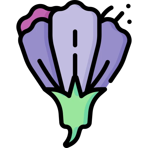 Butterfly Blue Pea