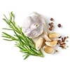 Herbs and Spices