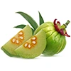 Garcinia Cambogia